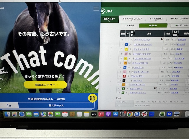 シンケイバを検証する馬ラボ