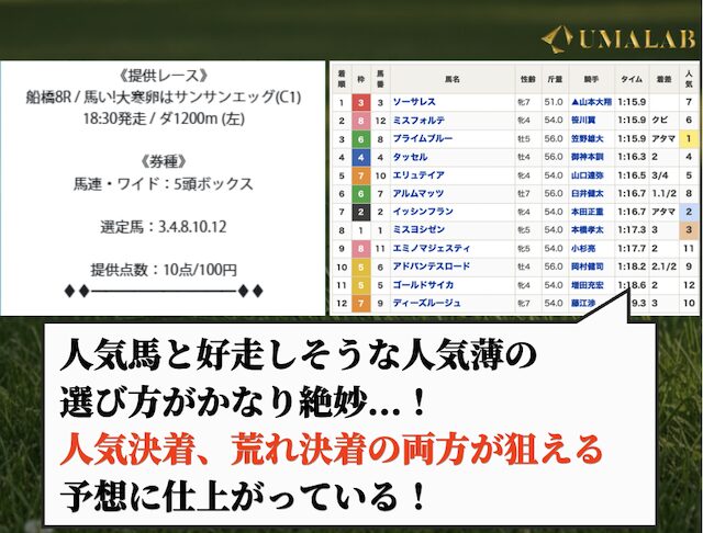 トリプルエスの無料予想で勝負した感想
