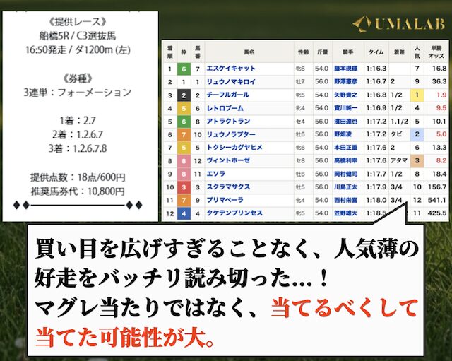 トリプルエスの有料予想で勝負した感想