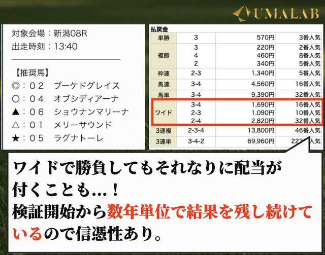 うまれぼの無料予想で勝負し続けた感想