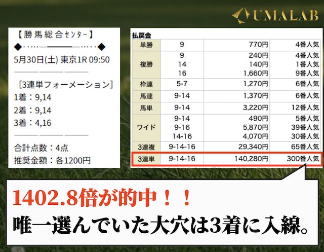 勝馬総合センターの的中基本解析プランで勝負した結果