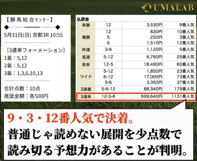 勝馬総合センターの有料予想で勝負した感想