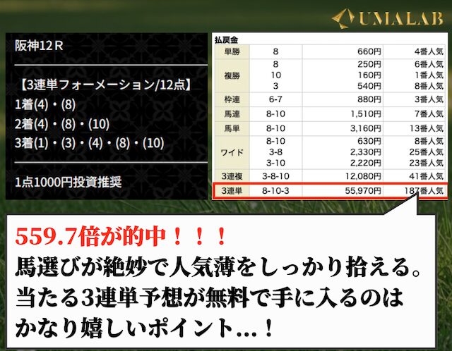 ミリオンの無料予想で勝負し続けた感想