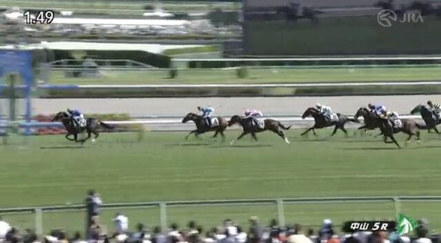 中山5Rの結果