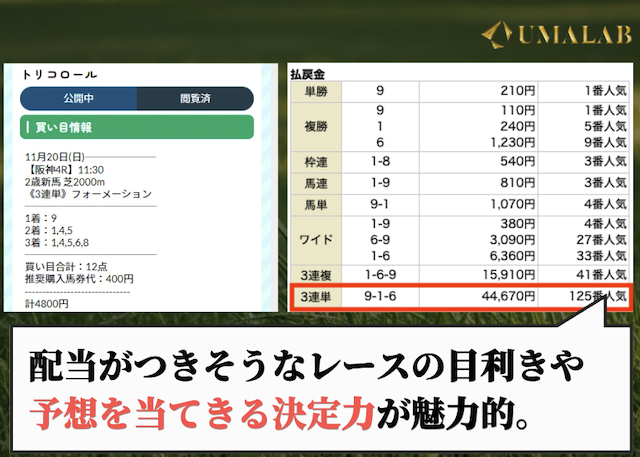 ネオスの有料予想で勝負し続けた感想