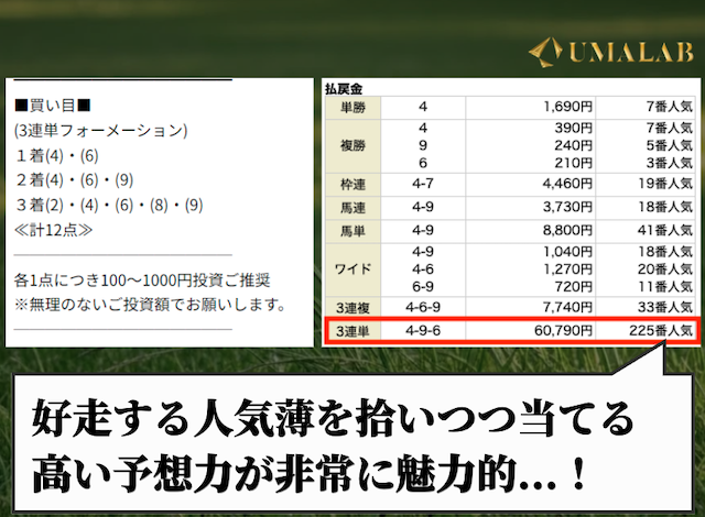 プレミアムの有料予想で勝負した感想