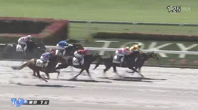 東京1Rの結果