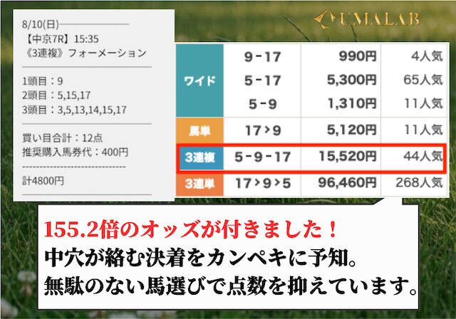 縁の無料予想の総評画像