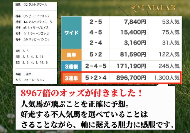 みどりの的中らんどの有料予想の感想画像