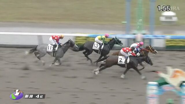 新潟4Rのレース画像