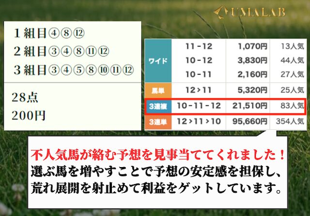 競馬ナンバー1の無料予想の感想画像