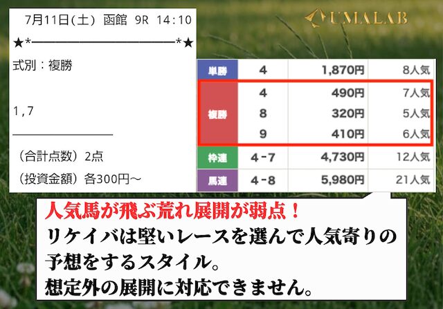 リケイバの追加検証画像2