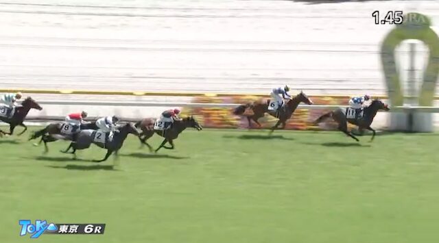 東京6Rのレース画像