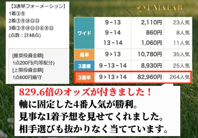 センチュリオンの有料予想の感想画像