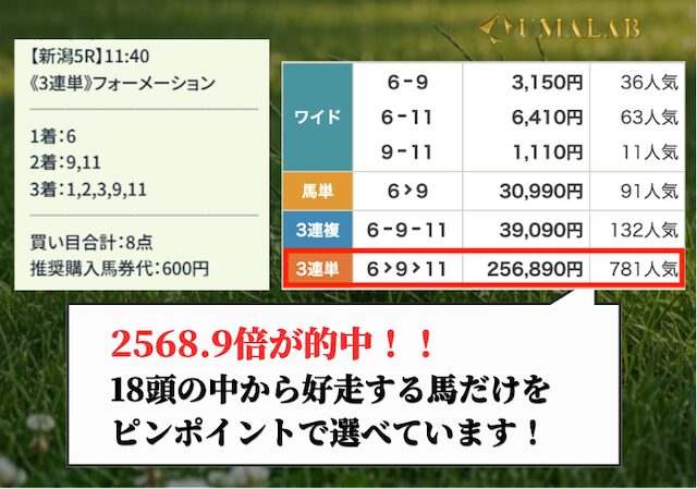 デイズの有料予想の総評