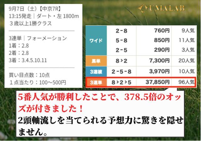 ディバインの有料予想の感想画像