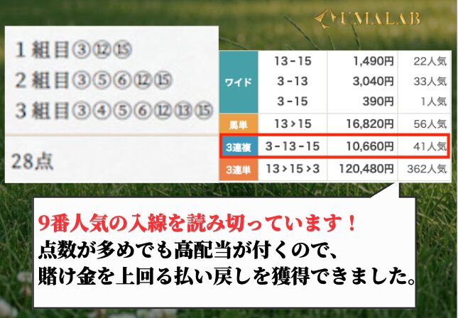 ハーレム競馬の無料予想の総評