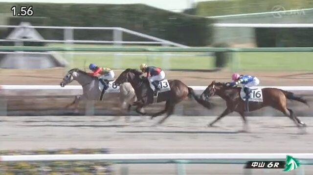 ハーレム競馬の中山6Rのレース画像