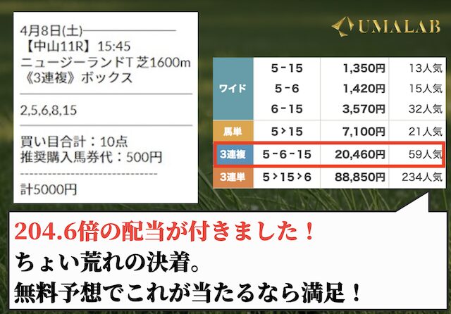 無料予想の検証結果。