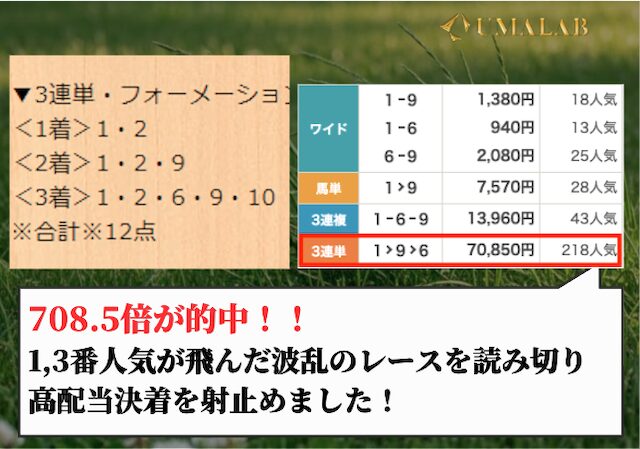 宝馬の無料予想の総評画像