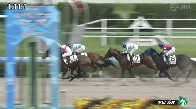 宝馬の中山6Rのレース画像