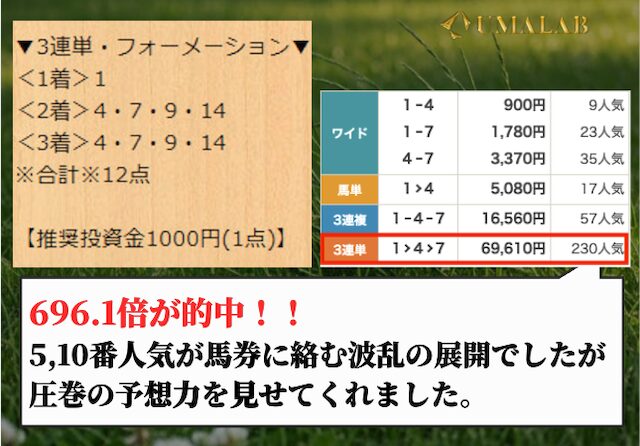 宝馬の有料予想の総評画像