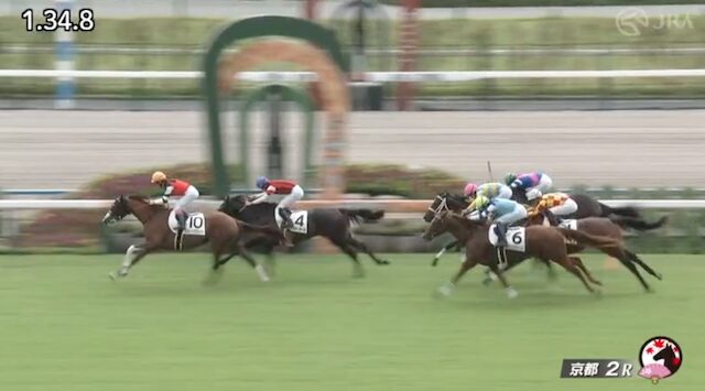 馬生の有料予想のレース画像