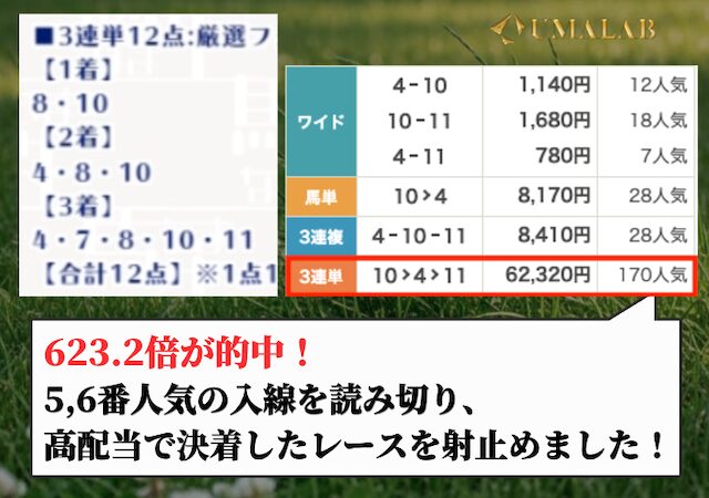 馬生の有料予想の総評画像