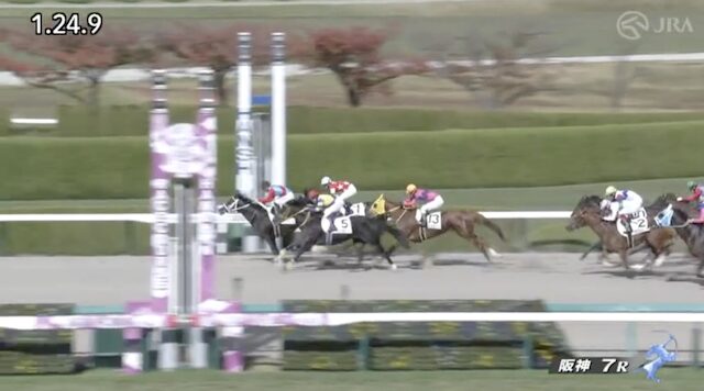ウマセラの阪神7Rのレース画像
