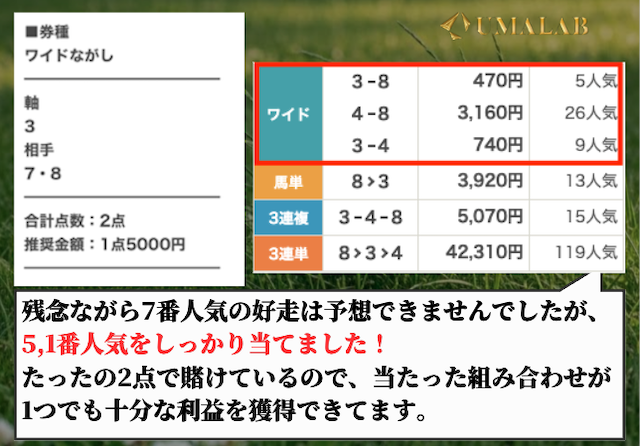 ウマセラの無料予想の総評画像