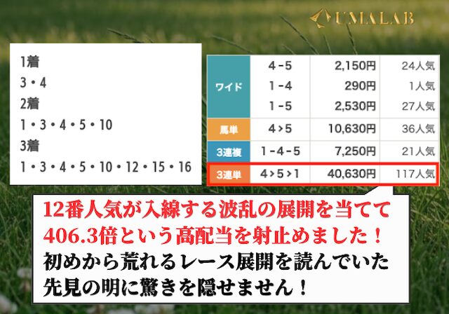 ウマセラの有料予想の総評画像