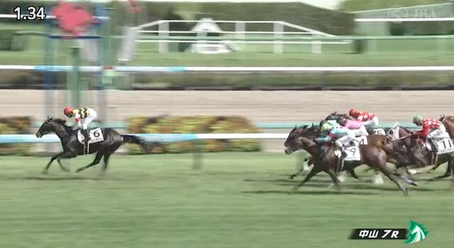 競馬戦艦ヤマトの中山7Rのレース画像