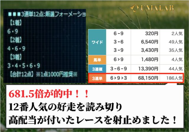 競馬戦艦ヤマトの有料予想の総評画像