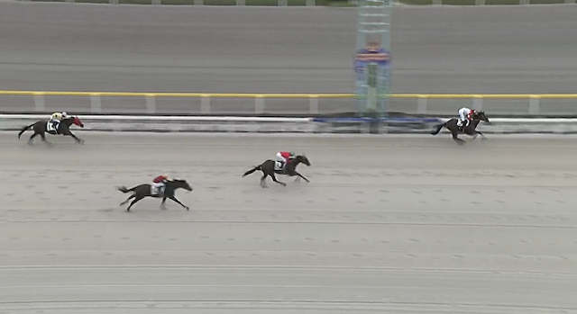ベストハーレム競馬の船橋2R画像