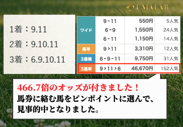 颯の有料予想の総評画像