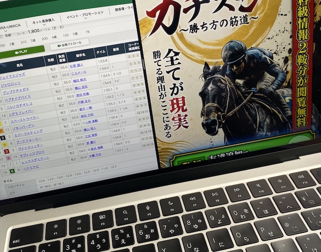 カチスジのPC画像