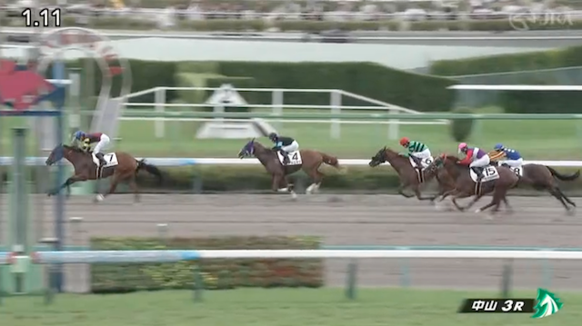 競馬厳選有料予想の中山3Rのレース画像