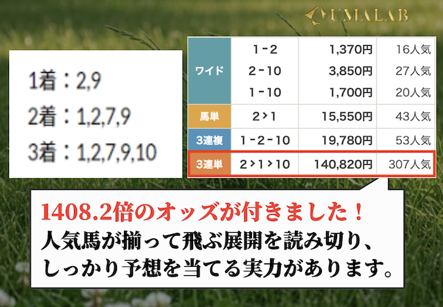 横綱ダービーの有料予想の結果